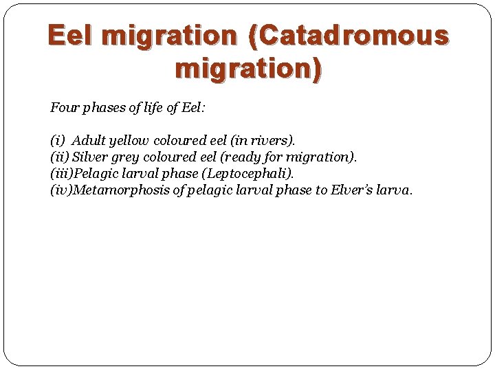 Eel migration (Catadromous migration) Four phases of life of Eel: (i) Adult yellow coloured