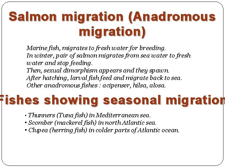 Salmon migration (Anadromous migration) Marine fish, migrates to fresh water for breeding. In winter,