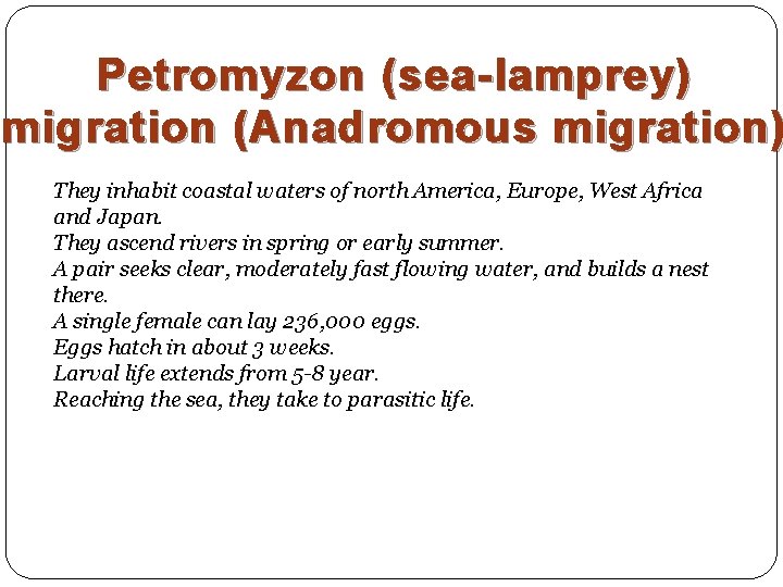 Petromyzon (sea-lamprey) migration (Anadromous migration) They inhabit coastal waters of north America, Europe, West