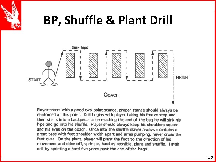 BP, Shuffle & Plant Drill #2 