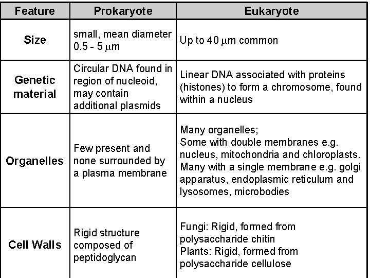 Feature Size Genetic material Prokaryote small, mean diameter Up to 40 m common 0.