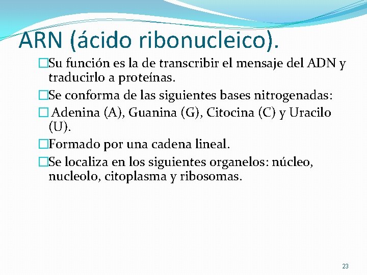 ARN (ácido ribonucleico). �Su función es la de transcribir el mensaje del ADN y ARN (ácido ribonucleico). �Su función es la de transcribir el mensaje del ADN y