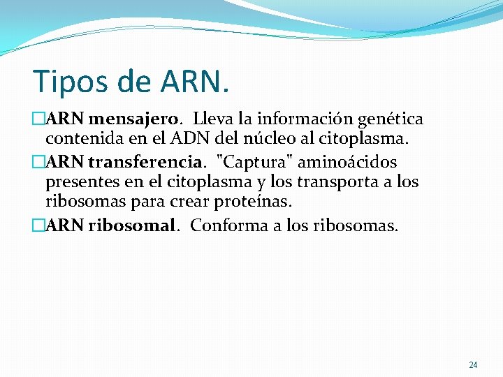 Tipos de ARN. �ARN mensajero. Lleva la información genética contenida en el ADN del