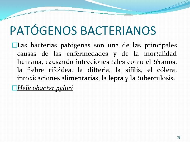 PATÓGENOS BACTERIANOS �Las bacterias patógenas son una de las principales causas de las enfermedades PATÓGENOS BACTERIANOS �Las bacterias patógenas son una de las principales causas de las enfermedades