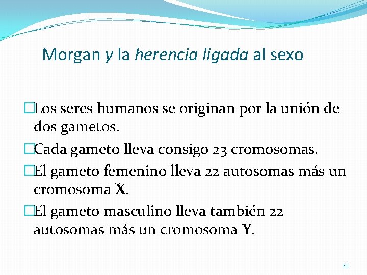 Morgan y la herencia ligada al sexo �Los seres humanos se originan por la