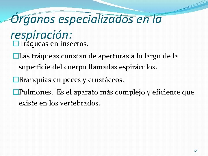 Órganos especializados en la respiración: �Tráqueas en insectos. �Las tráqueas constan de aperturas a