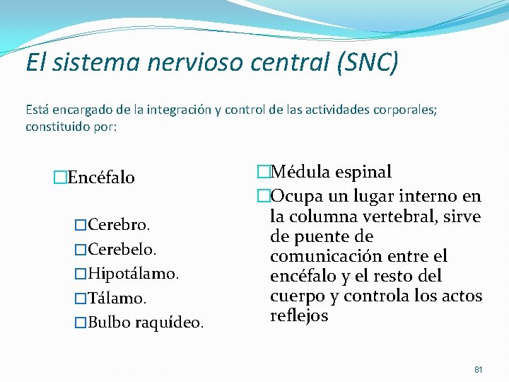 El sistema nervioso central (SNC) Está encargado de la integración y control de las