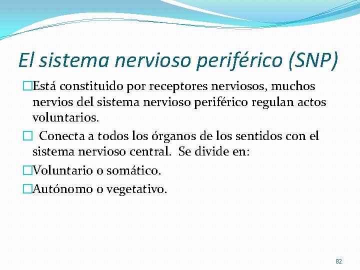 El sistema nervioso periférico (SNP) �Está constituido por receptores nerviosos, muchos nervios del sistema El sistema nervioso periférico (SNP) �Está constituido por receptores nerviosos, muchos nervios del sistema
