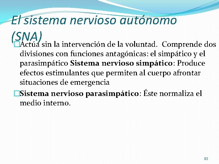 El sistema nervioso autónomo (SNA) �Actúa sin la intervención de la voluntad. Comprende dos