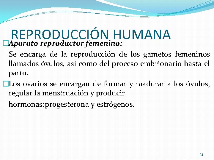 REPRODUCCIÓN HUMANA �Aparato reproductor femenino: Se encarga de la reproducción de los gametos femeninos