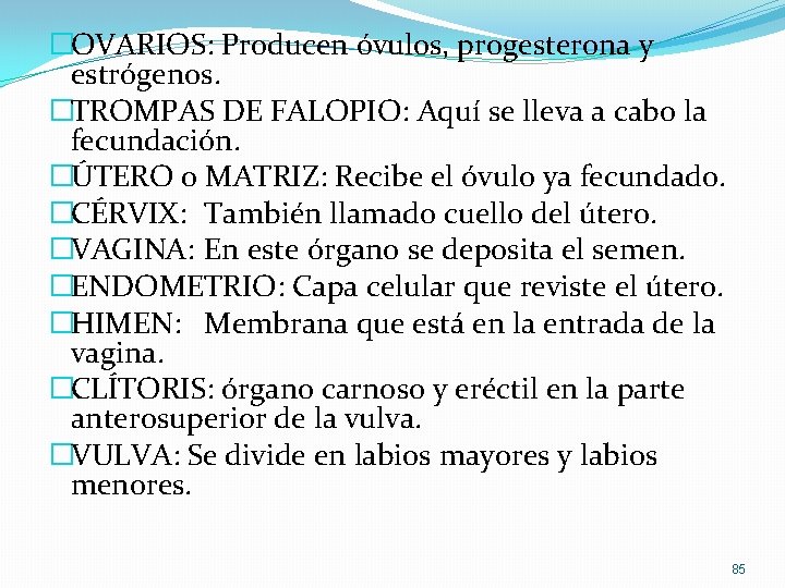 �OVARIOS: Producen óvulos, progesterona y estrógenos. �TROMPAS DE FALOPIO: Aquí se lleva a cabo �OVARIOS: Producen óvulos, progesterona y estrógenos. �TROMPAS DE FALOPIO: Aquí se lleva a cabo