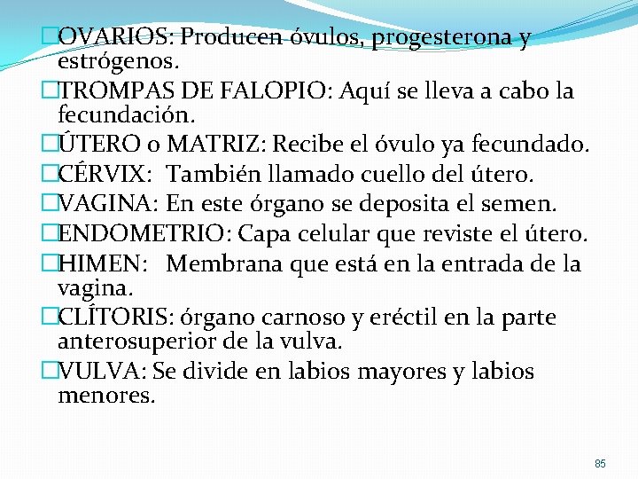 �OVARIOS: Producen óvulos, progesterona y estrógenos. �TROMPAS DE FALOPIO: Aquí se lleva a cabo