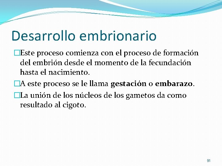 Desarrollo embrionario �Este proceso comienza con el proceso de formación del embrión desde el