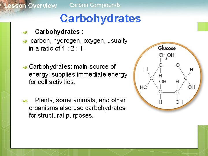  Lesson Overview Carbon Compounds Carbohydrates : carbon, hydrogen, oxygen, usually in a ratio
