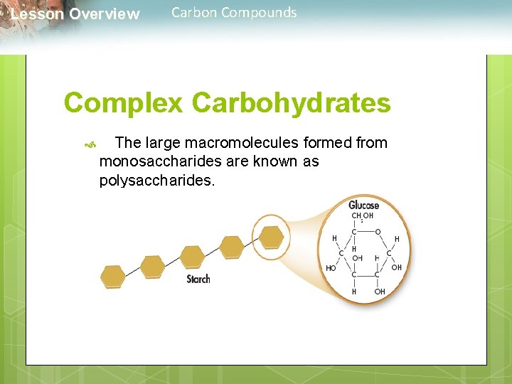  Lesson Overview Carbon Compounds Complex Carbohydrates The large macromolecules formed from monosaccharides are