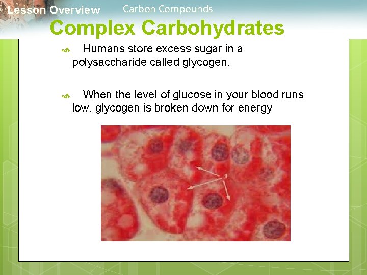  Lesson Overview Carbon Compounds Complex Carbohydrates Humans store excess sugar in a polysaccharide