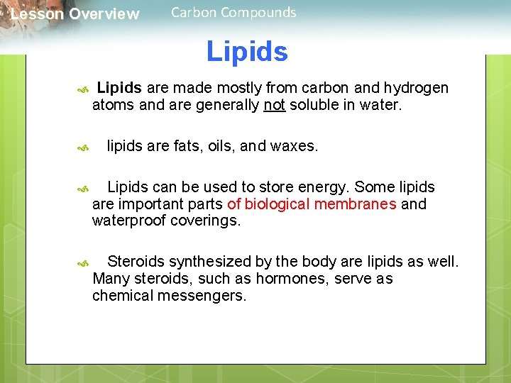  Lesson Overview Carbon Compounds Lipids are made mostly from carbon and hydrogen atoms