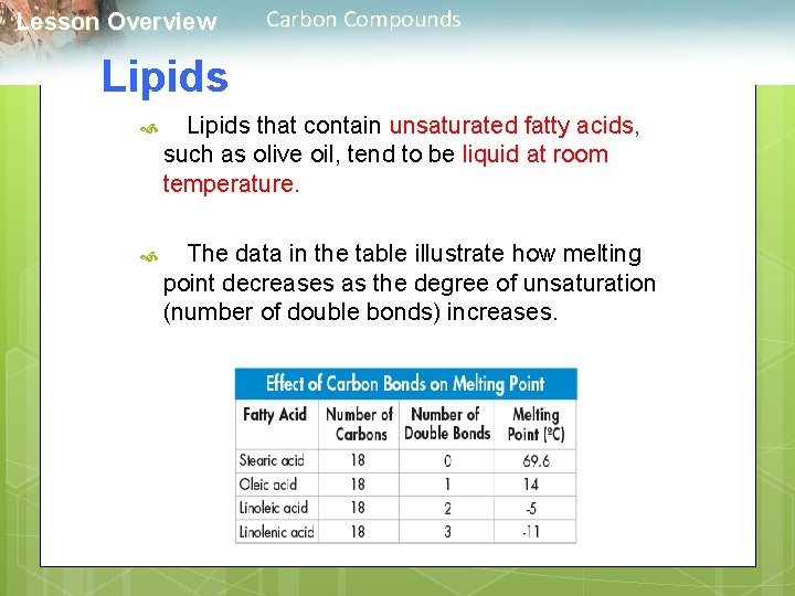  Lesson Overview Carbon Compounds Lipids that contain unsaturated fatty acids, such as olive