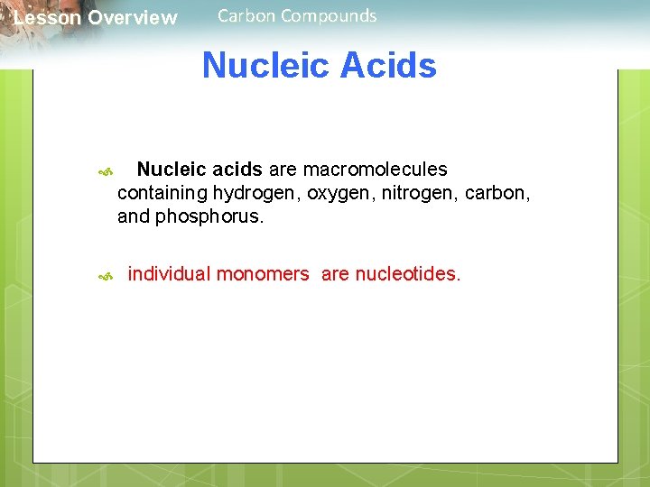  Lesson Overview Carbon Compounds Nucleic Acids Nucleic acids are macromolecules containing hydrogen, oxygen,