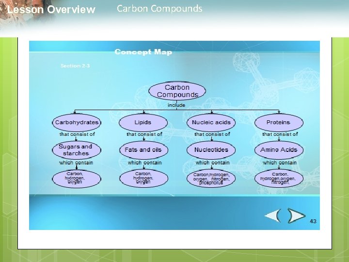  Lesson Overview Carbon Compounds 