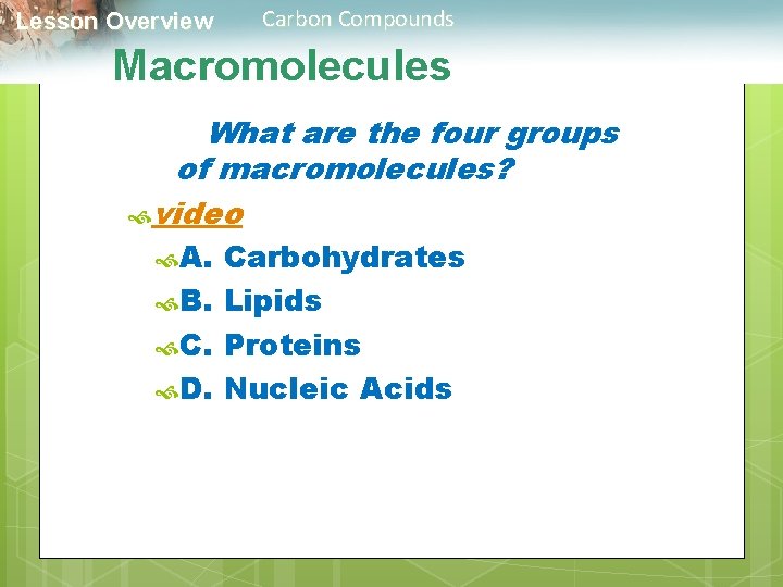  Lesson Overview Carbon Compounds Macromolecules What are the four groups of macromolecules? video