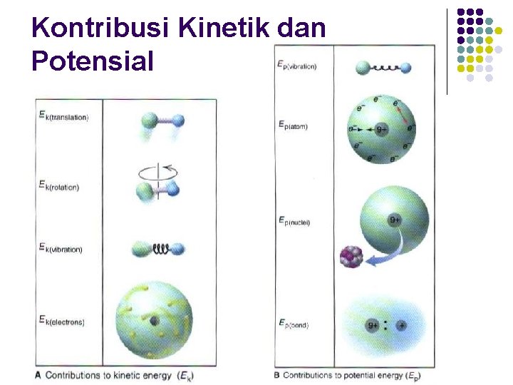 Kontribusi Kinetik dan Potensial 