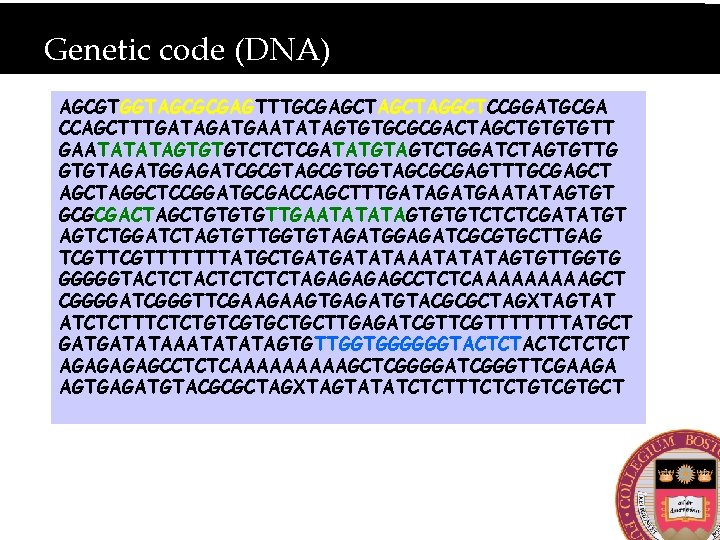 Genetic code (DNA) AGCGTGGTAGCGCGAGTTTGCGAGCTAGGCTCCGGATGCGA CCAGCTTTGATAGATGAATATAGTGTGCGCGACTAGCTGTGTGTT GAATATATAGTGTGTCTCTCGATATGTAGTCTGGATCTAGTGTTG GTGTAGATGGAGATCGCGTAGCGTGGTAGCGCGAGTTTGCGAGCTAGGCTCCGGATGCGACCAGCTTTGATAGATGAATATAGTGT GCGCGACTAGCTGTGTGTTGAATATATAGTGTGTCTCTCGATATGT AGTCTGGATCTAGTGTTGGTGTAGATGGAGATCGCGTGCTTGAG TCGTTTTTTTATGCTGATGATATAAATATATAGTGTTGGTG GGGGGTACTCTCTCTAGAGCCTCTCAAAAAGCT CGGGGATCGGGTTCGAAGAAGTGAGATGTACGCGCTAGXTAGTAT ATCTCTTTCTCTGTCGTGCTGCTTGAGATCGTTTTTTTATGCT GATGATATAAATATATAGTGTTGGTGGGGGGTACTCTCTCT