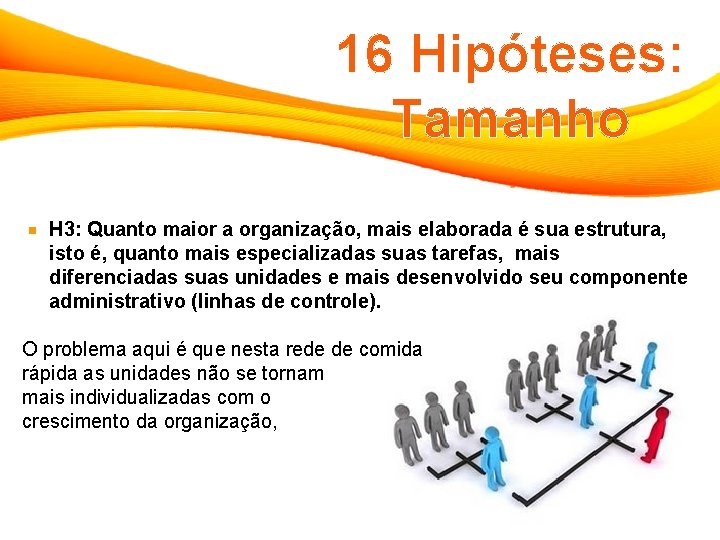 16 Hipóteses: Tamanho H 3: Quanto maior a organização, mais elaborada é sua estrutura,