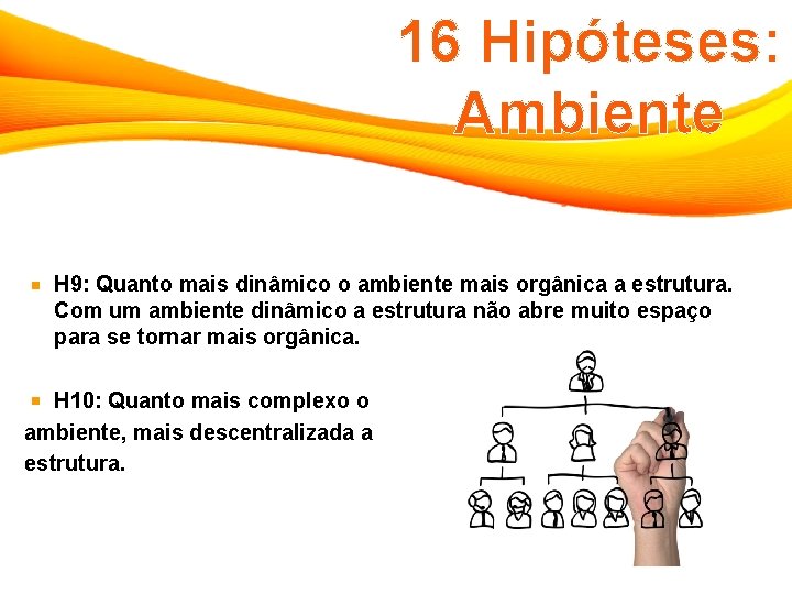 16 Hipóteses: Ambiente H 9: Quanto mais dinâmico o ambiente mais orgânica a estrutura.