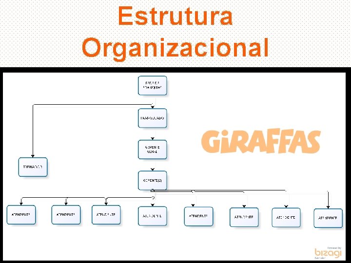 Estrutura Organizacional 