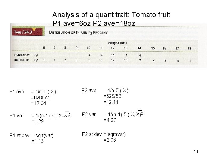 Analysis of a quant trait: Tomato fruit P 1 ave=6 oz P 2 ave=18