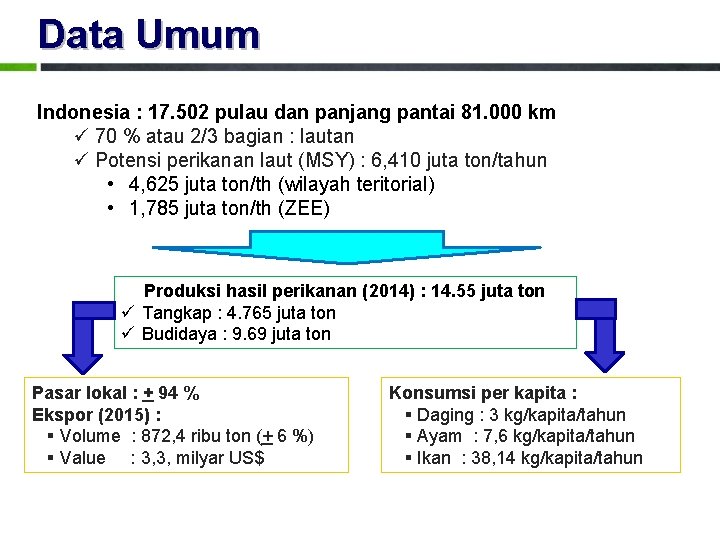 Data Umum Indonesia : 17. 502 pulau dan panjang pantai 81. 000 km ü