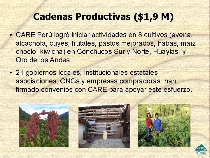 Cadenas Productivas ($1, 9 M) • CARE Perú logró iniciar actividades en 8 cultivos