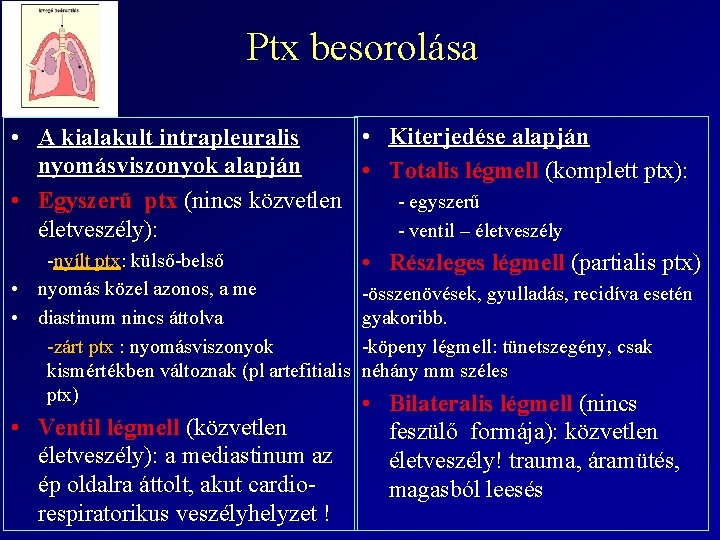 Ptx besorolása • Kiterjedése alapján • A kialakult intrapleuralis nyomásviszonyok alapján • Totalis légmell