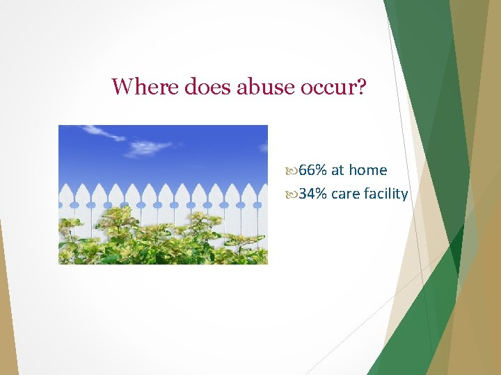 Where does abuse occur? 66% at home 34% care facility 