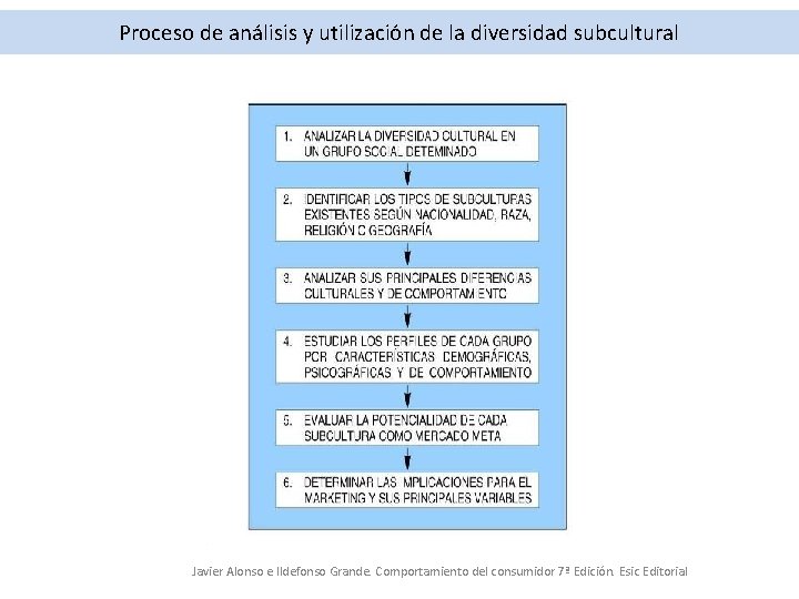 Proceso de análisis y utilización de la diversidad subcultural Javier Alonso e Ildefonso Grande.