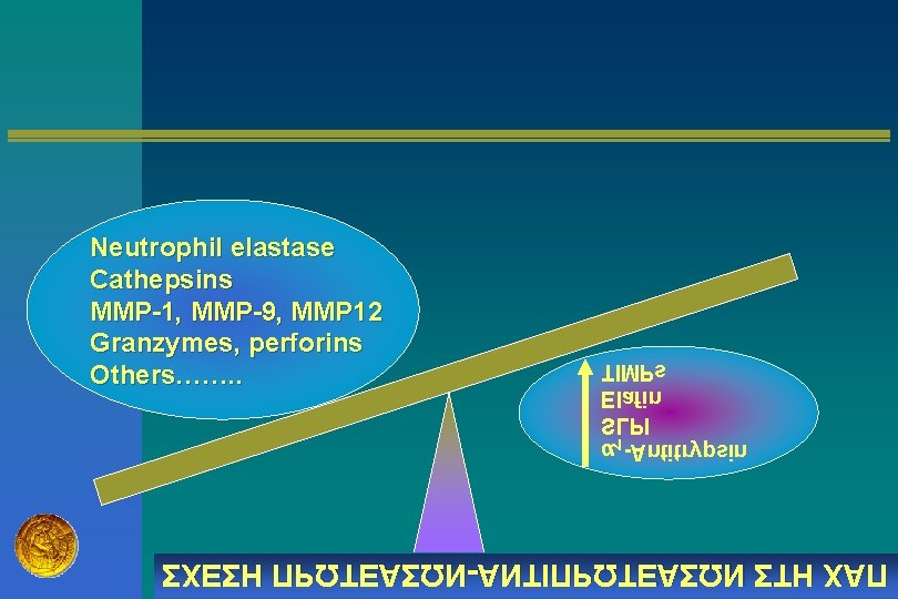 Neutrophil elastase Cathepsins MMP-1, MMP-9, MMP 12 Granzymes, perforins Others……. . TIMPs Elafin SLPI