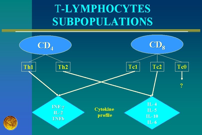 T-LYMPHOCYTES SUBPOPULATIONS CD 8 CD 4 Th 1 Tc 1 Th 2 Tc 0