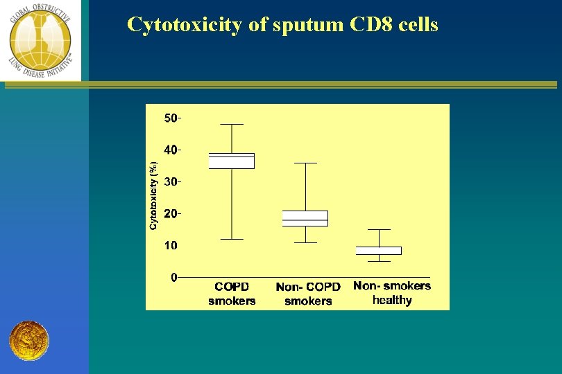 Cytotoxicity of sputum CD 8 cells 