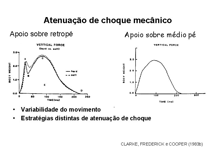 Atenuação de choque mecânico Apoio sobre retropé Apoio sobre médio pé • Variabilidade do