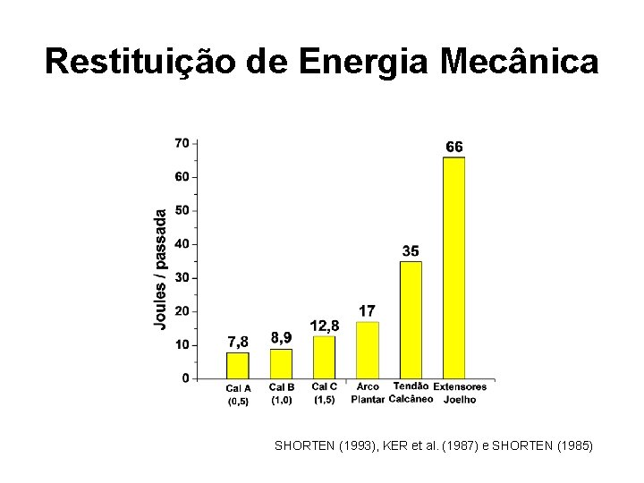 Restituição de Energia Mecânica SHORTEN (1993), KER et al. (1987) e SHORTEN (1985) 