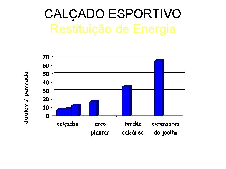 CALÇADO ESPORTIVO Restituição de Energia 