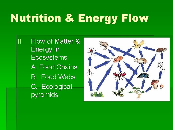 Nutrition & Energy Flow II. Flow of Matter & Energy in Ecosystems A. Food
