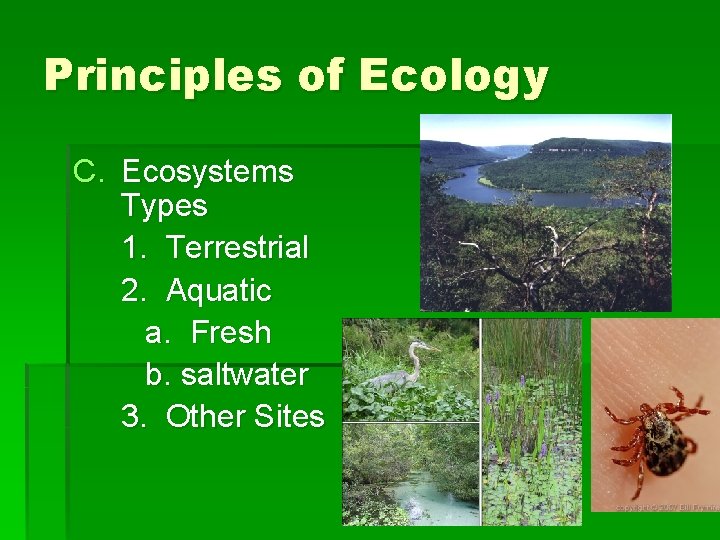Principles of Ecology C. Ecosystems Types 1. Terrestrial 2. Aquatic a. Fresh b. saltwater