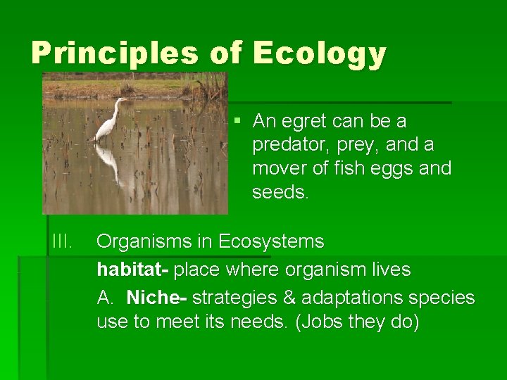 Principles of Ecology § An egret can be a predator, prey, and a mover