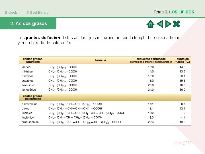 Biología 2º Bachillerato Tema 3. LOS LÍPIDOS 2. Ácidos grasos Los puntos de fusión