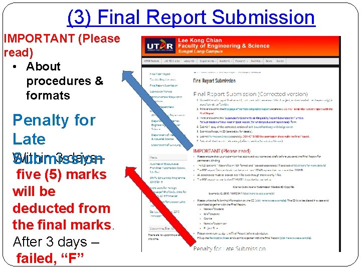 (3) Final Report Submission IMPORTANT (Please read) • About procedures & formats Penalty for