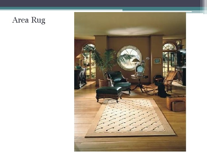 Area Rug 