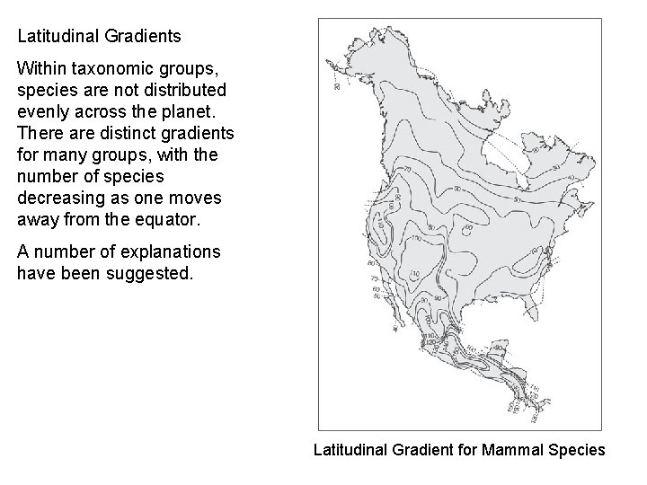 Latitudinal Gradients Within taxonomic groups, species are not distributed evenly across the planet. There