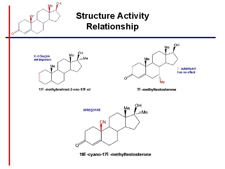 Structure Activity Relationship 